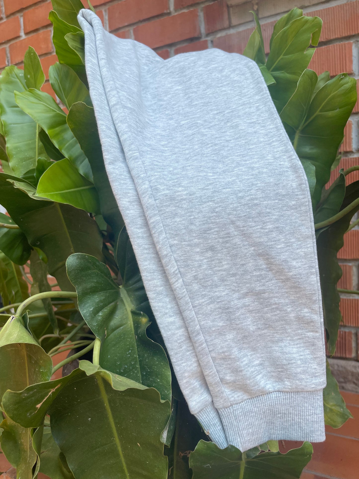 Grey Jogger