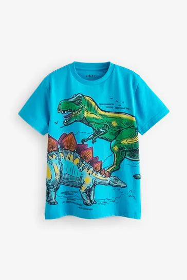 Graphic T-Shirts 3 Pack