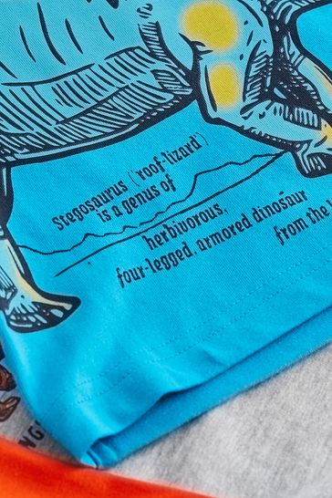 Graphic T-Shirts 3 Pack