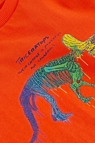 Graphic T-Shirts 3 Pack