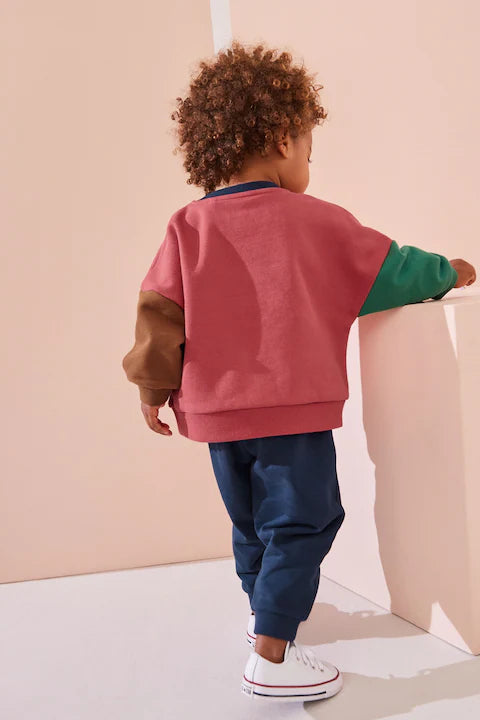 Red/Blue Dinosaur Printed Colour block Sweatshirt and Joggers Set