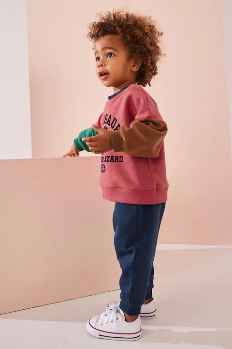 Red/Blue Dinosaur Printed Colour block Sweatshirt and Joggers Set