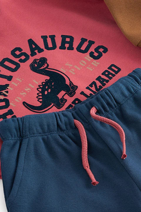 Red/Blue Dinosaur Printed Colour block Sweatshirt and Joggers Set