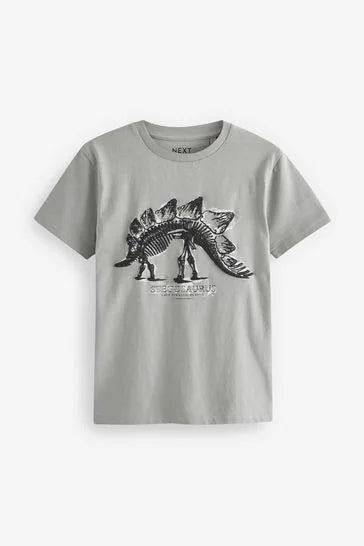 Mineral Blues Sketchy Graphics Graphic T-Shirts 3 Pack