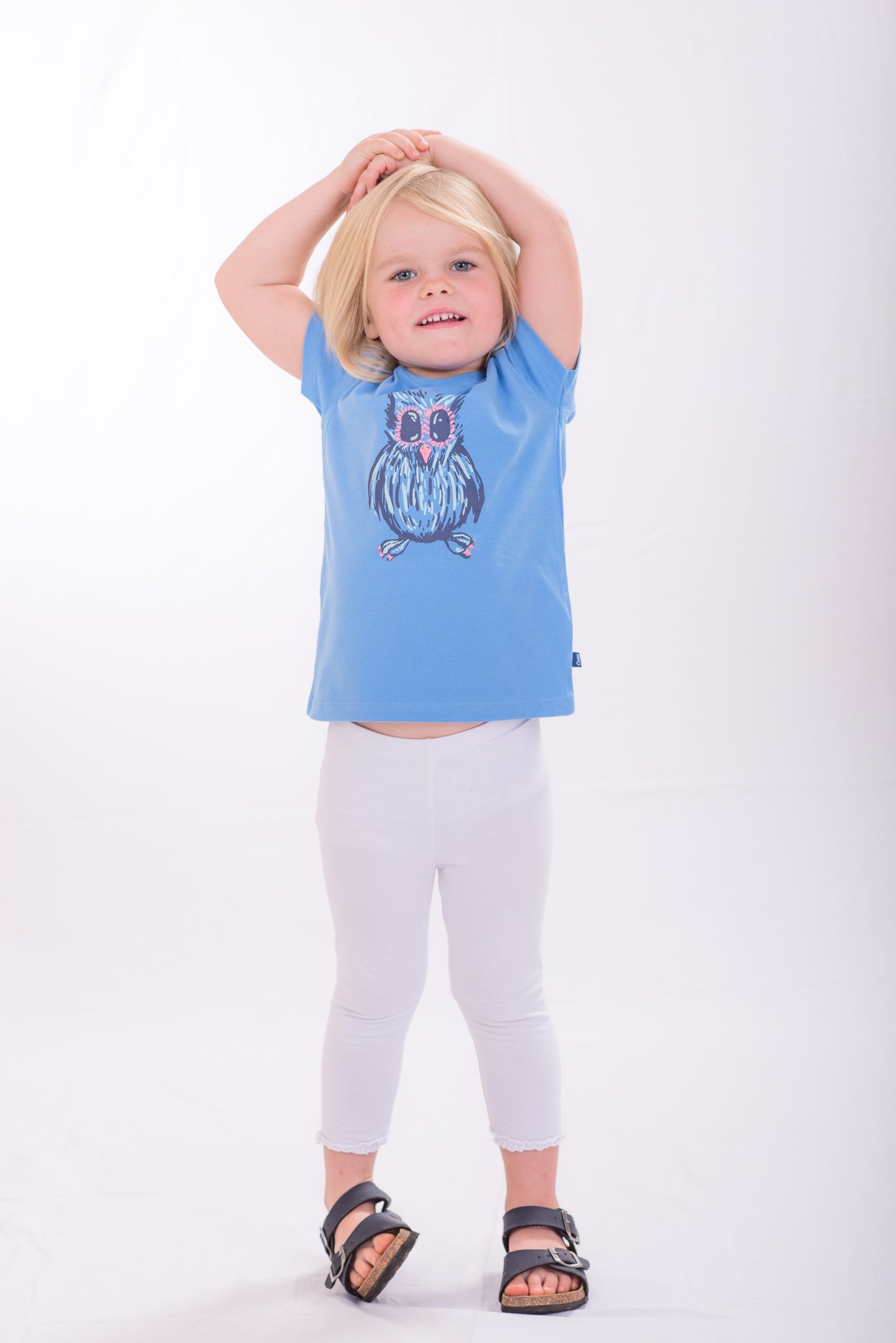Blue Owl - Short Sleeved T-shirt