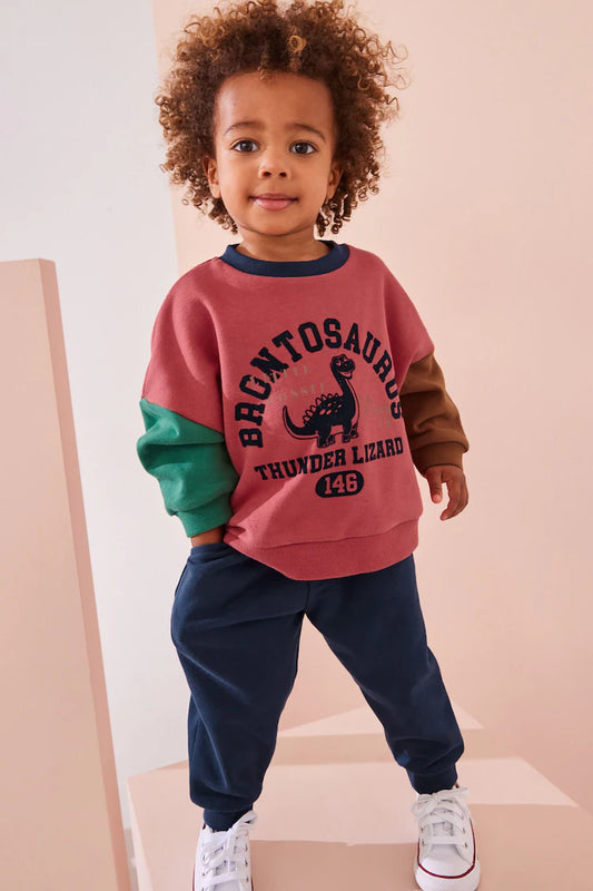Red/Blue Dinosaur Printed Colour block Sweatshirt and Joggers Set